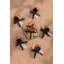 Boutonnières Ling's Moment noir et orange citrouille-264252943