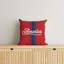 Coussin décoratif America-123176994-123176978