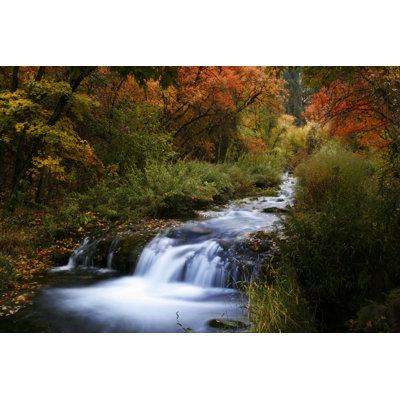 Spring Hollow Campground Stream by Ellyette - Wrapped Canvas Print