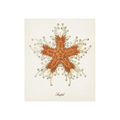Nautical Art III Print by Sofia Fox