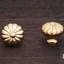CK Series Knob-12829770-12829769