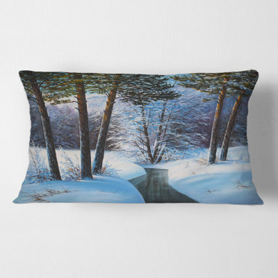 Throw Pillow