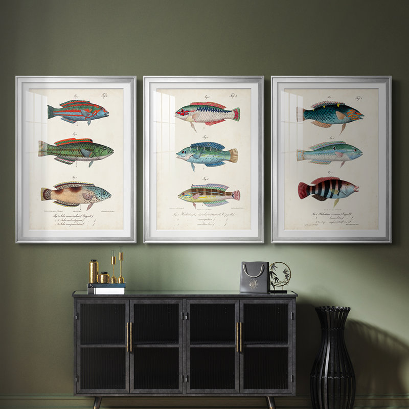 Antique Fish Trio I - Impression personnalisée de qualité supérieure avec cadre mat - 3 pièces, Argent argent