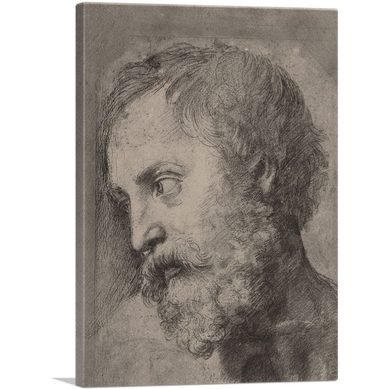 Tête d'un apôtre dans la transfiguration 1520 par Raphael - reproduction d'art sur toile tendue, H 18 po x l 12 po x 1,5 po