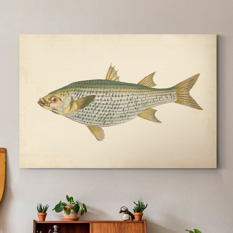 " Donovan Antique Fish IV ", 12" H x 8" W x 1" D