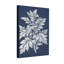 Plantes et fleurs, motif de feuilles botaniques sur fond bleu marine-555396243