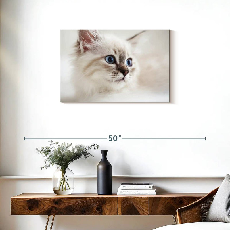 Brampt Neva Masquerade Cat, 20" H x 30" W