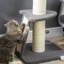 233.68cm H Cat Tree