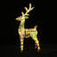 Cerf magique avec bois de cerf