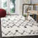 Alieshia Berber Shag Performance Geometric Rug