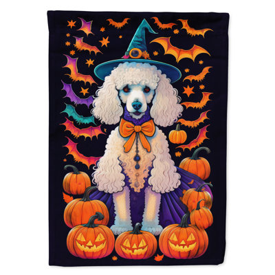 Jakameron Double Sided Polyester Halloween Garden Flag