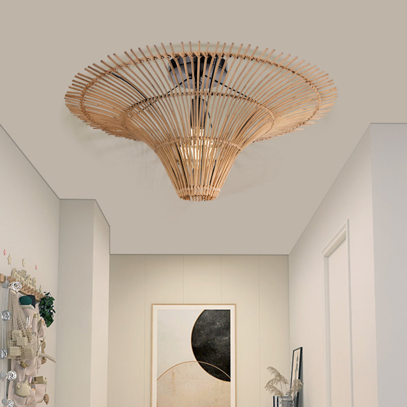 Alayanna Ceiling Light 1-Light, 23.62 cm