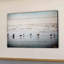 " Seagulls At The Ocean " by Parvez Taj-50247746
