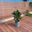 Pot de fleurs Monforto Modern Fiberstone and Clay - Pot rond avec trous de drainage pour l'intérieur et l'extérieur -1695932695-1695932692
