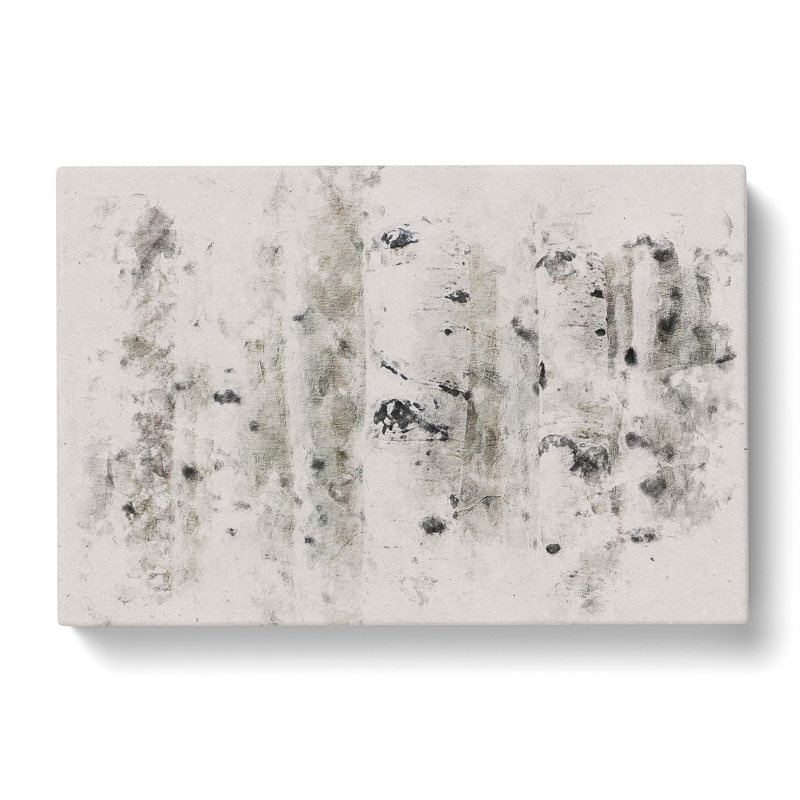 Silver Birch Tree Forest - Wrapped Canvas Graphic Art Print, 35cm H x 50cm W x 3cm D