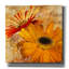 «Golden Gerbera 2» par Art Licensing Studio, art mural sur toile