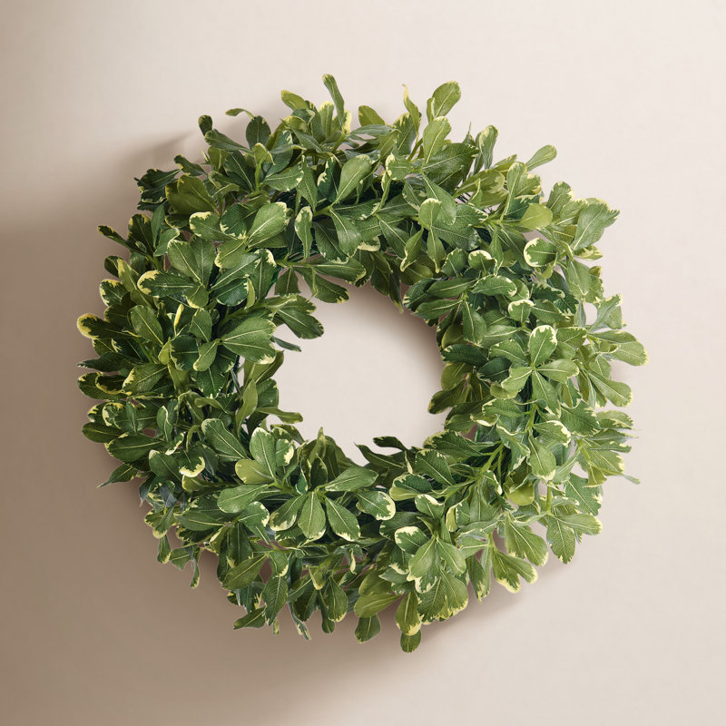Pittosporum Spray 24" Floral Wreath