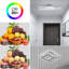 Castoria Acrylic LED Semi Flush Mount