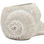 Pot à fleurs 8,3X7X4,7 "sable et ciment avec finition texturée beige-276384997