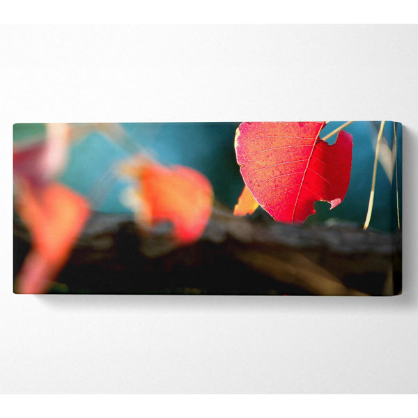 Ebern Designs Red Leaves Macro - Wrapped Canvas Print | Wayfair.co.uk