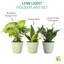 Live Low Light Houseplant Set-109179381