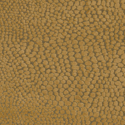 Boutique Fabric