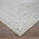 Oriental Indoor Rug
