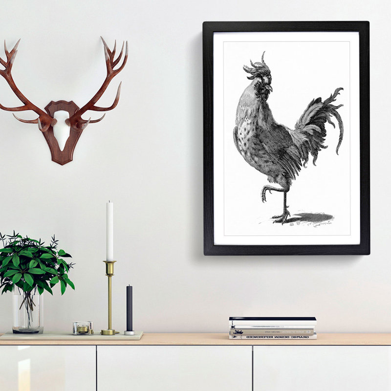 A Cock In Black And White by Johan Teyler - Single Picture Frame Print, Black Framed, 33cm H x 24cm W x 2cm D