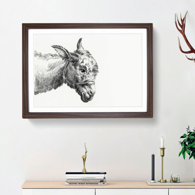 A Head of a Donkey by Jean Bernard - Framed Print