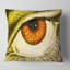 Coussin décoratif à l’oeil de la pupille-30057419-30057415