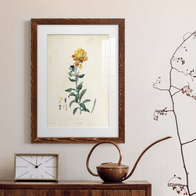 " Traditional Botanical III "