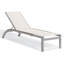 Argento Outdoor Chaise Lounge-1020193605