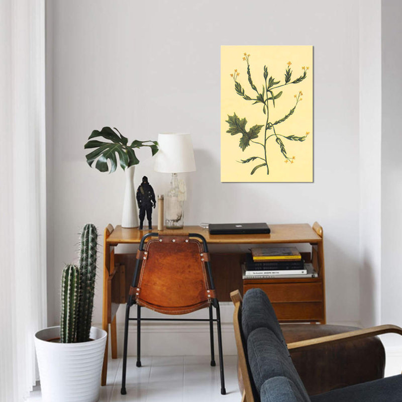 «Hedge Mustard», reproduction sur toile, H 26 po x l 18 po x P 1,5 po, Toile tendue, Pas de tapis