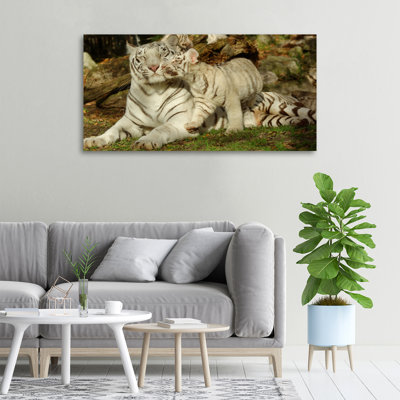 Tigers - No Frame Print on Canvas