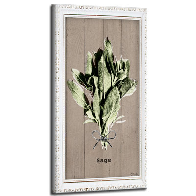 " Sage " by Olivia Rose