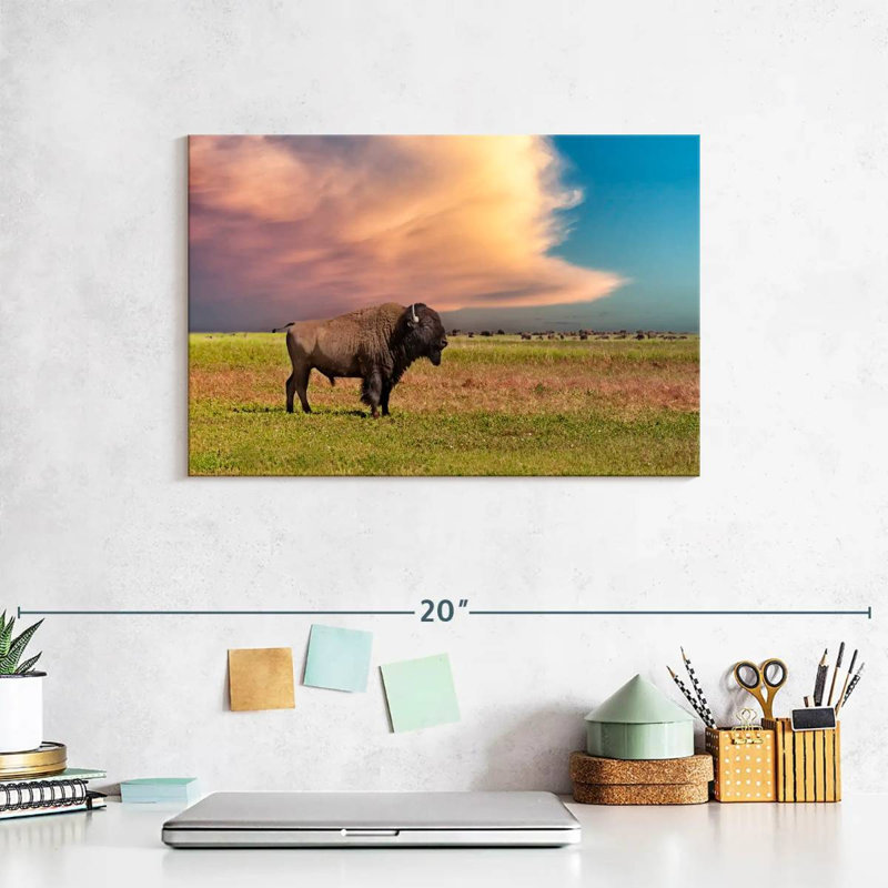 Brampt Badlands Bison, 8" H x 12" W