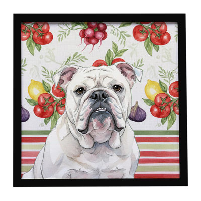 Légumes blanc bouledogue anglais blanc, impression sur métal encadrée
