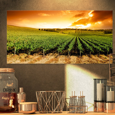 Sunset Vineyard Panorama - Photographie sur toile tendue