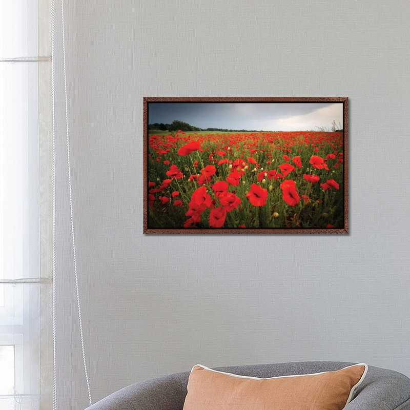Poppies Field by Mateusz Piesiak - Floater Frame Print on Canvas, 66.04 cm H x 45.72 cm W, Classic Brown Wood Framed Canvas
