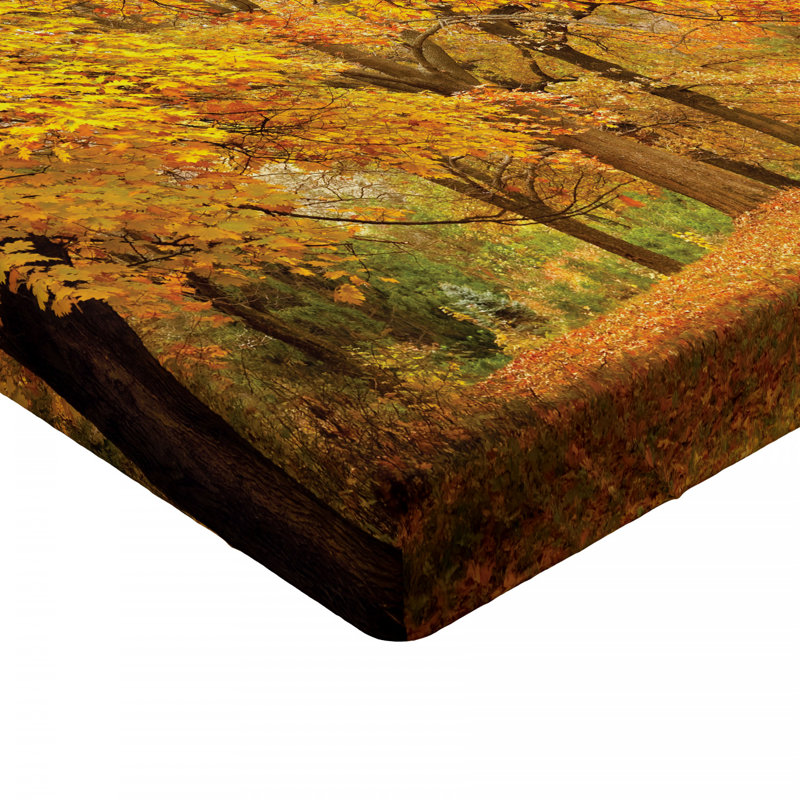 Drap-housse forest, Drap-housse simple TG