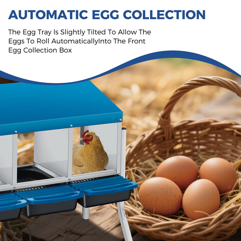 Boîtes de nidification pour poulets à 3 trous - boîtes à œufs coulissantes avec couvercles et pieds, collecteur d'œufs de poule facile à nettoyer, fixation murale
