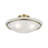 Wilbrecht Glass Semi Flush Mount-1075409369-1127140706