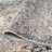 Leta Mocha Medallion Power-Loomed Area Rug-1131650798