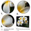 Blanc pureté de Plumeria Essence florale I - art mural Plumeria-555787111-555787123