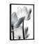 Debra Van Swearingen - Print on Canvas-101410440-34181838