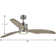 Wayne 60'' Ceiling Fan with LED Lights