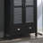 Pasiak Accent Cabinet-1498883874
