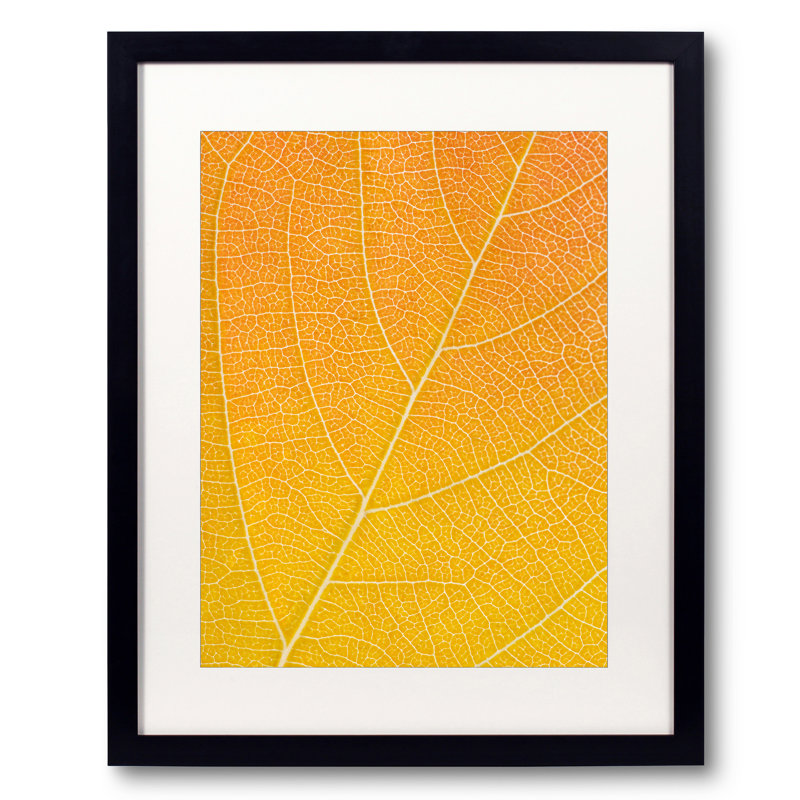 Autumn Leaf by Philippe Monthoux, Black Framed Paper, 20" H x 16" W
