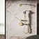 Spaviva Two-Function Handshower 1.75 GPM