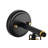 Ontario 1-light Black And Antique Gold Vanity Light With Clear Glass Shades